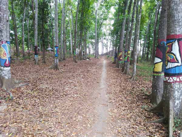 Spot foto Jalan Menuju Sawah di Kotok Forest Park