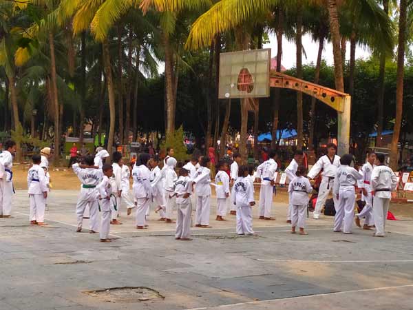 olahraga taekwondo jember kegiatan cfd
